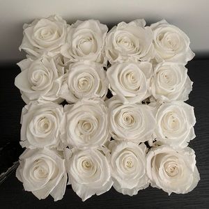 Meet your Posher, Molly